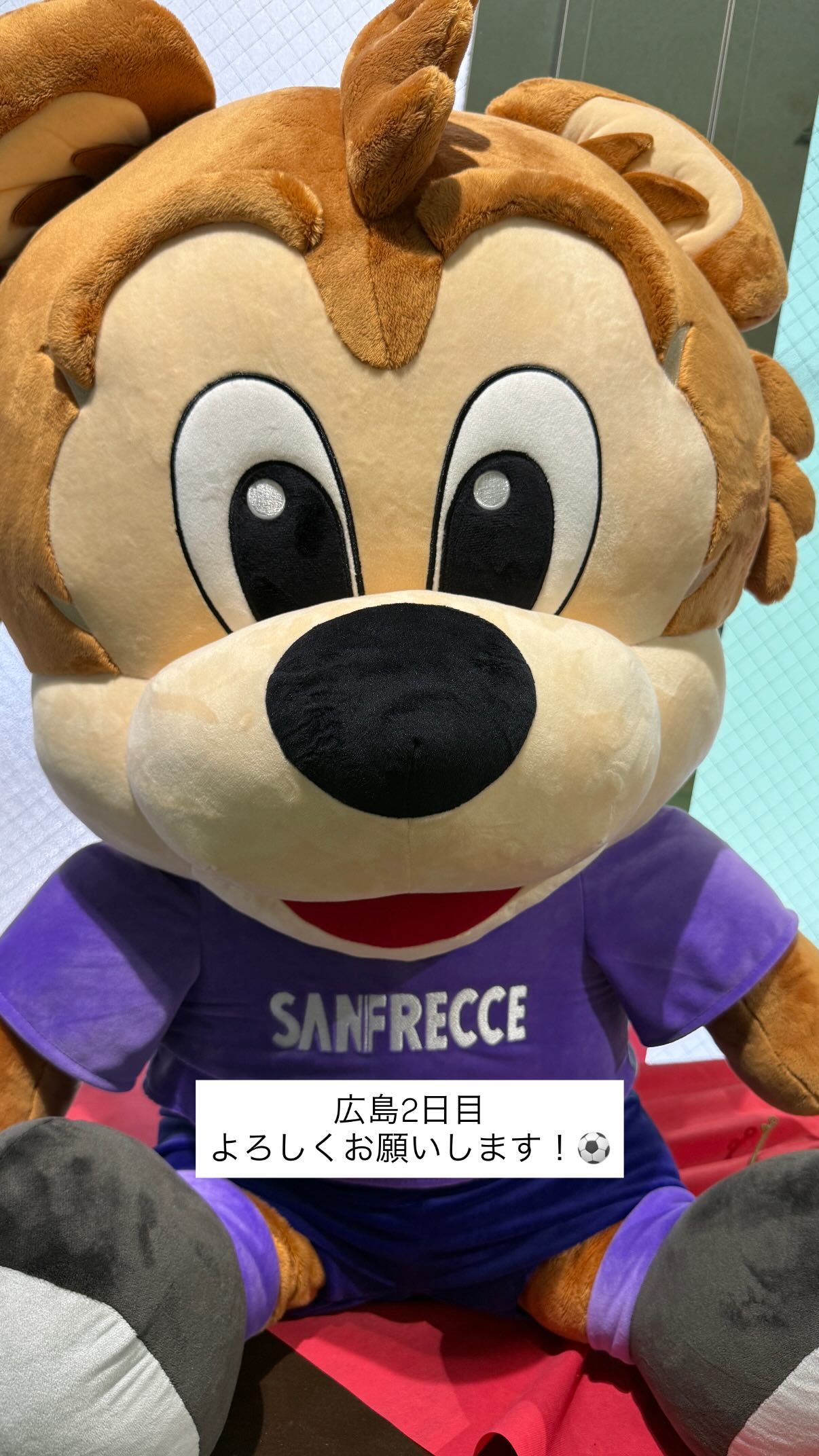 吉田綾乃クリスティー