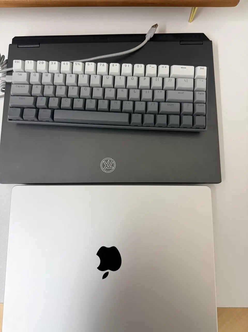 纠结上了！过年回家带Mac还是游戏本好？