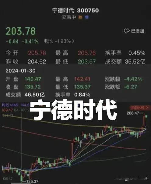 你敢相信吗？宁德时代上半年日均净赚1.7亿！它是新能源领域实现"换道超车"的标杆