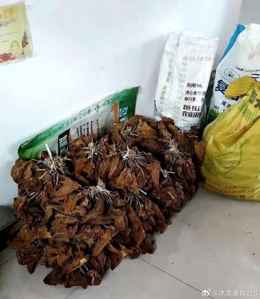 好家伙，这才是名副其实的大户人家，谁看了不羡慕！ 