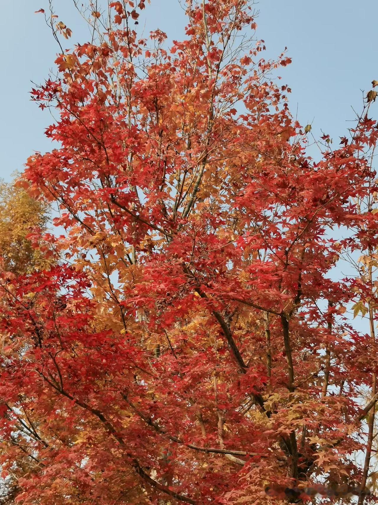 万物始藏，冬之伊始。