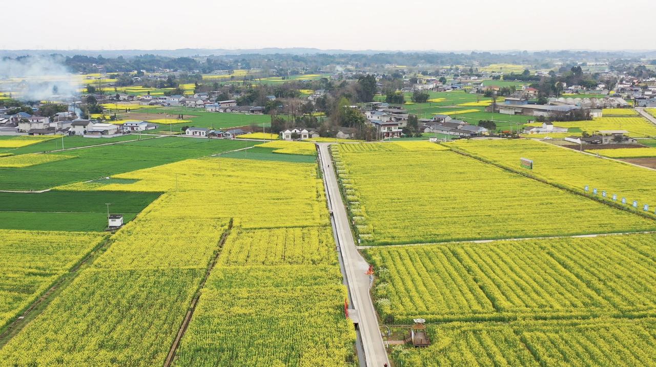 春天来啦，万物复苏[呲牙]

今年过年比较迟，天气也暖和，到处春暖花开。四川各地
