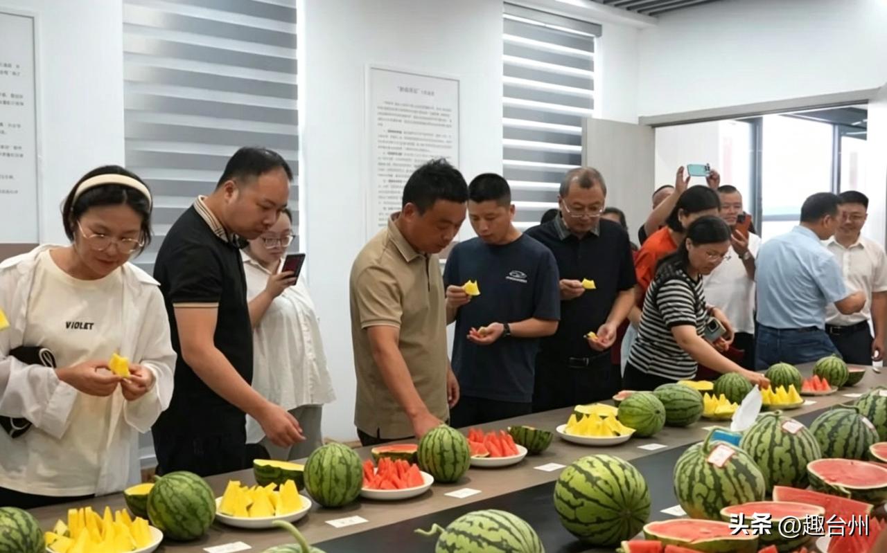 现场品鉴！温岭选出多款优质西瓜，今夏吃瓜有新选择

近日，浙江省高品质西瓜标准化