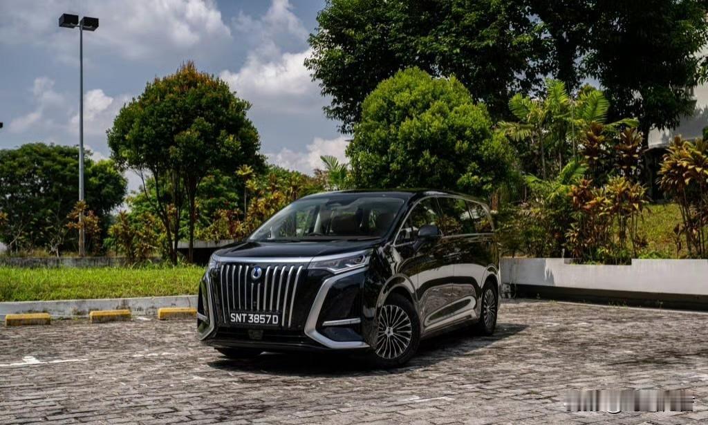 腾势D9，我称其为最帅的MPV，也不为过吧。上市以来，颇得用户好评，还一度拿下，