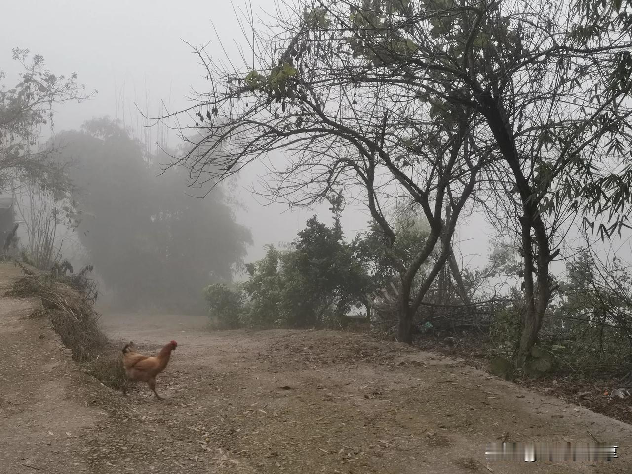 我很喜爱图片这个地方，尽管它没有城市的繁华与科技感，但这里的每一处角落，都承载着