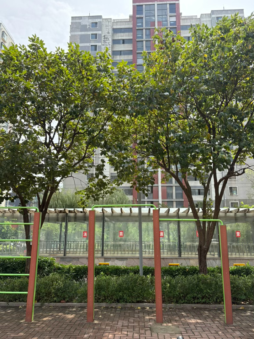 现在每天都去拉拉单杠虽然一个也拉不上去，梦想还是要有的，万一有一天就拉上去了呢 