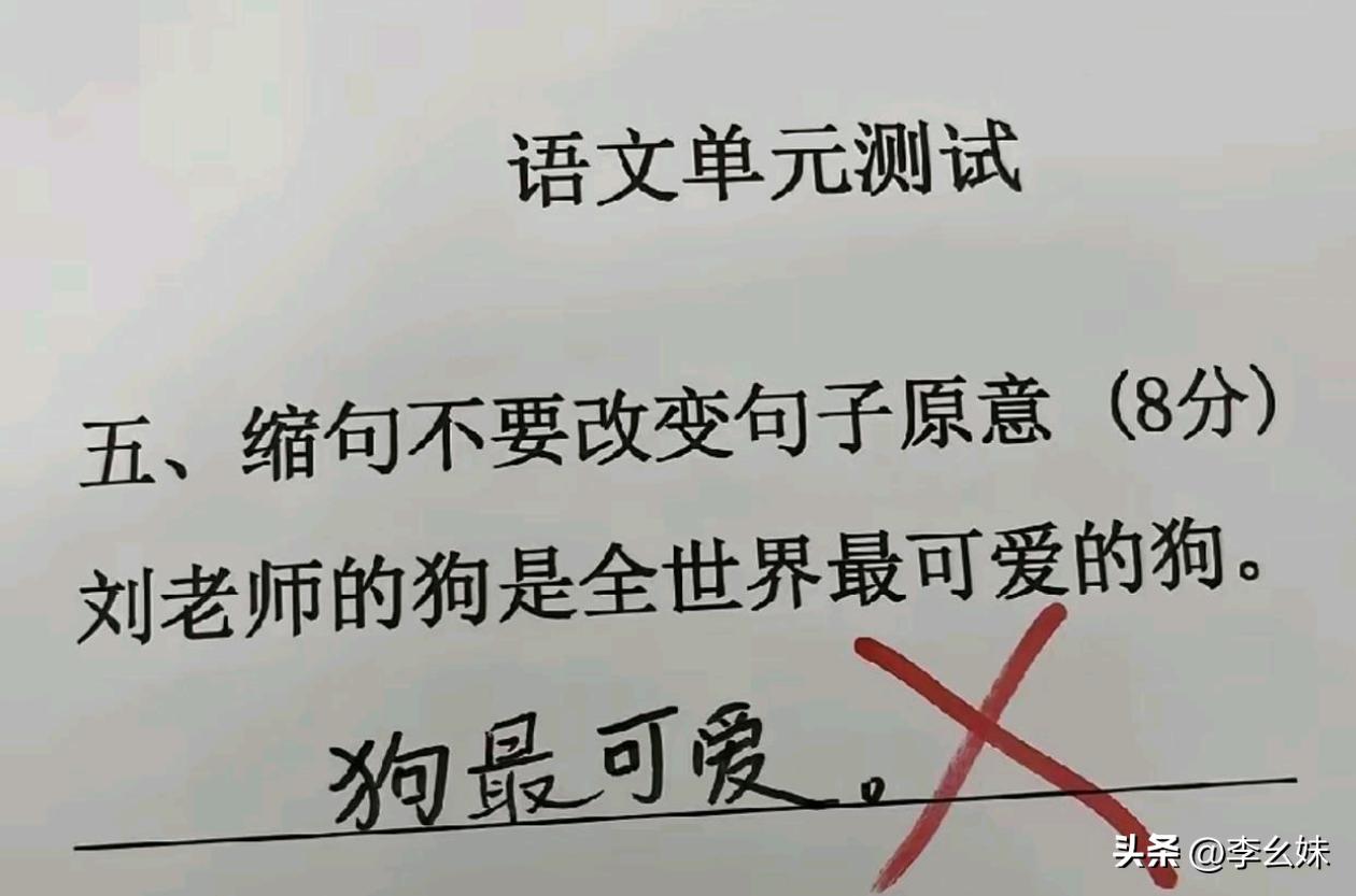 来自缩句大佬的缩句，这到底哪错了？
