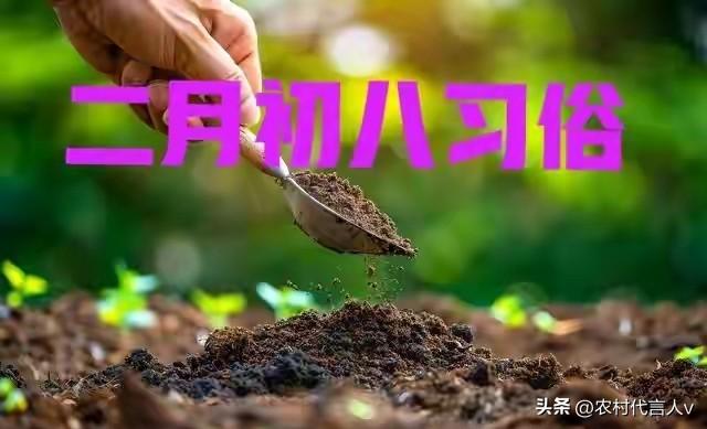 不是迷信！二月初八，最不能做的“6件事”，告诉家人要早知道。
 
“二月初八阳气