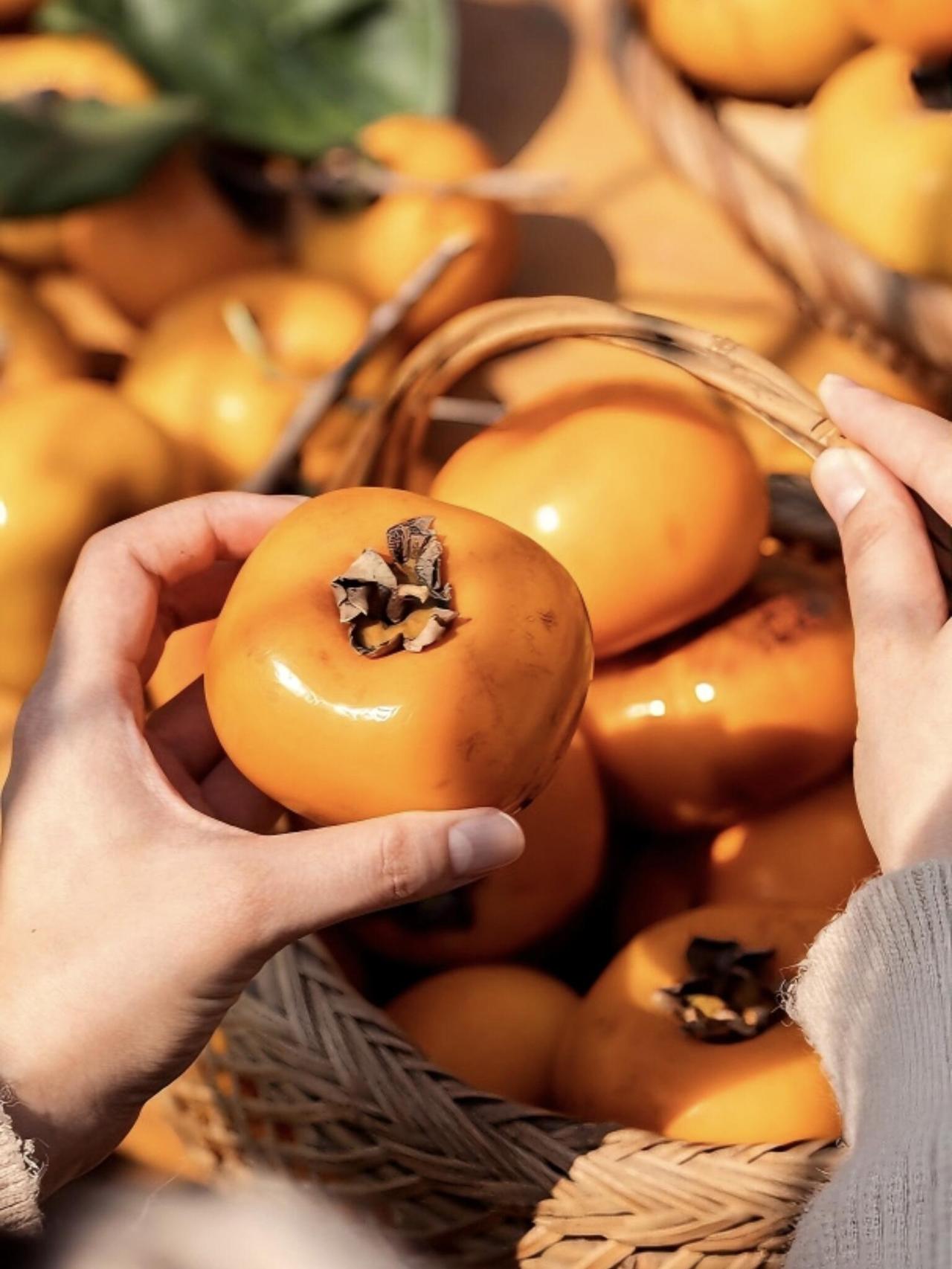 广西美味，恭城柿子攻略🍂
秋天的浪漫，一定有一站是广西恭城✨中国月柿之乡真的太
