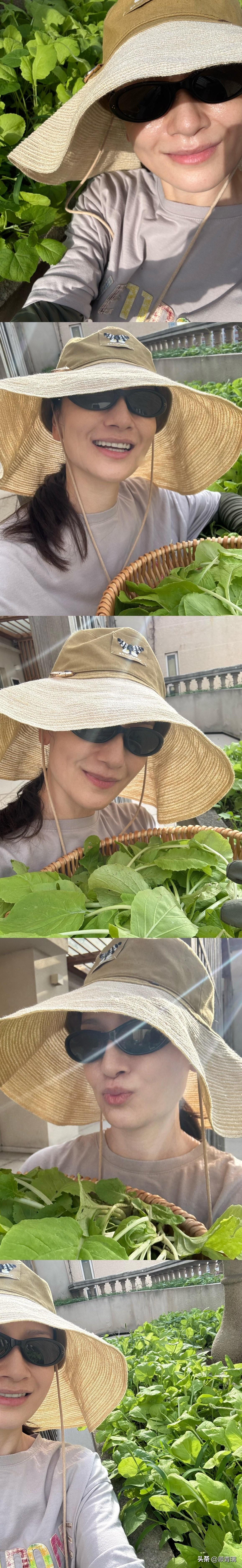 现在很多女明星自己种个菜都那么有成就感呢！