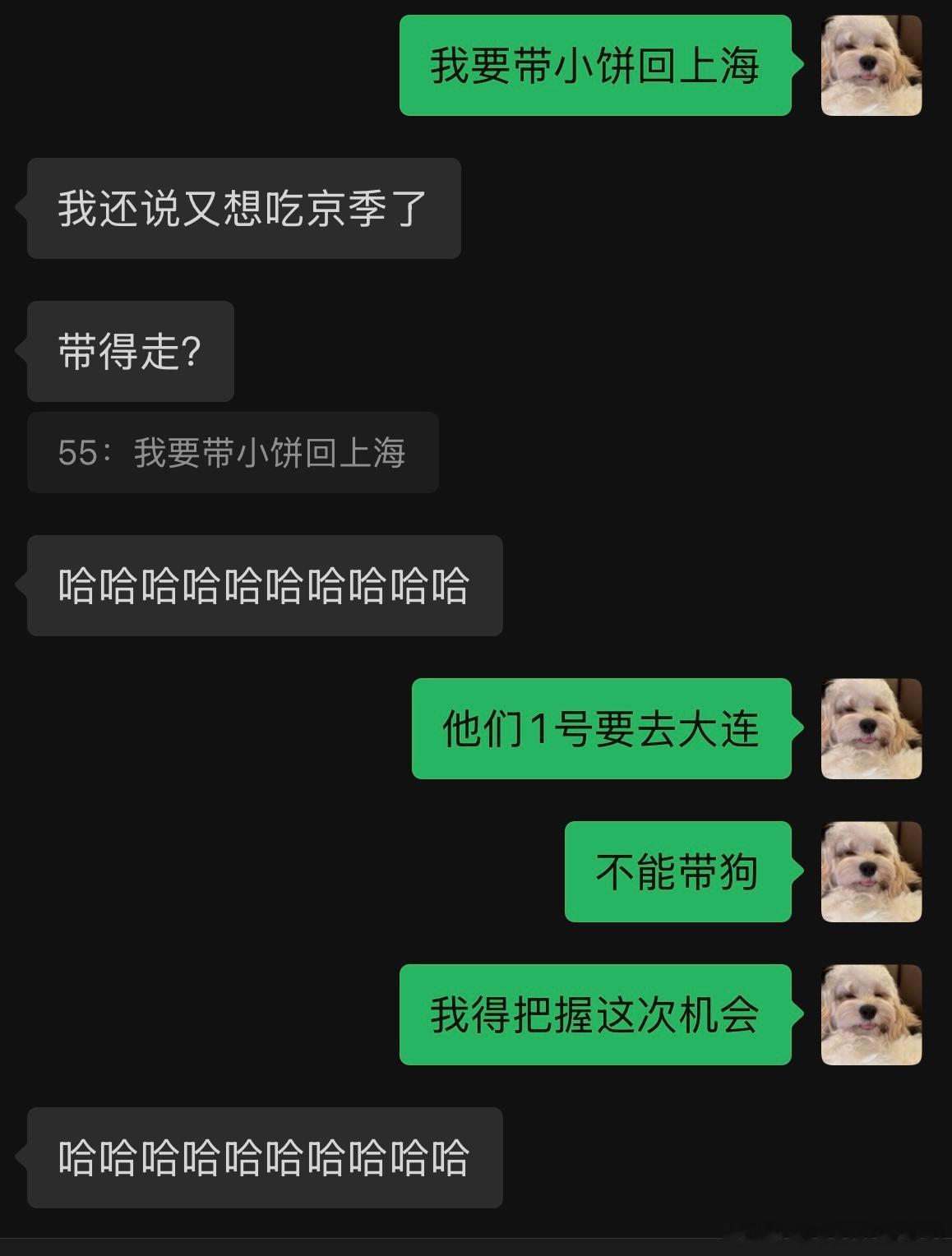 就这样斗智斗勇 