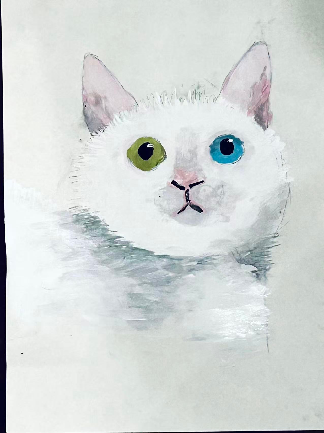 🐱😹🙀🐈😺😼😿😻😽😾😸🐈⬛ 