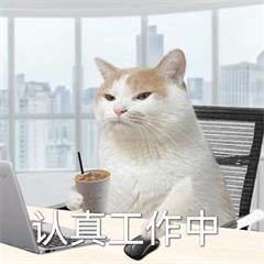 今天会更忙，有缘再见 