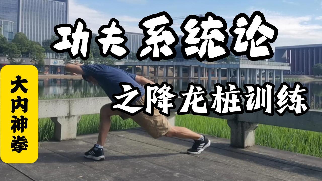 大内神拳功夫系统论之降龙桩训练

武者以降龙桩架示之高明
以低架为能
果真如此？