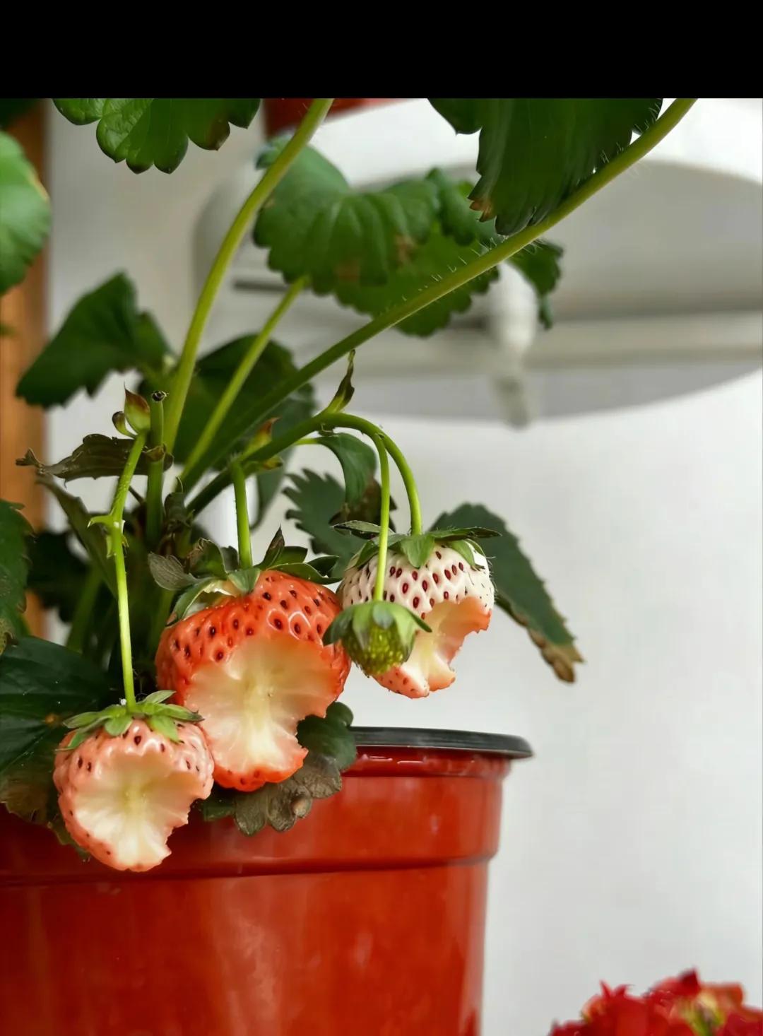 用一句话证明你有孩子👶🏻