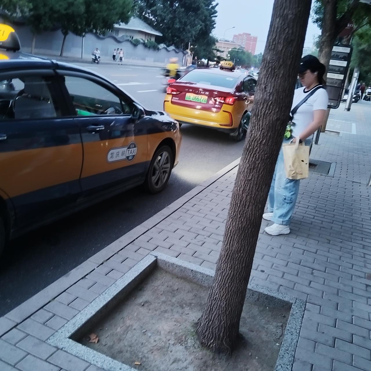 出租车堂而皇之地占据公交车站，看来生意是不太好做了。