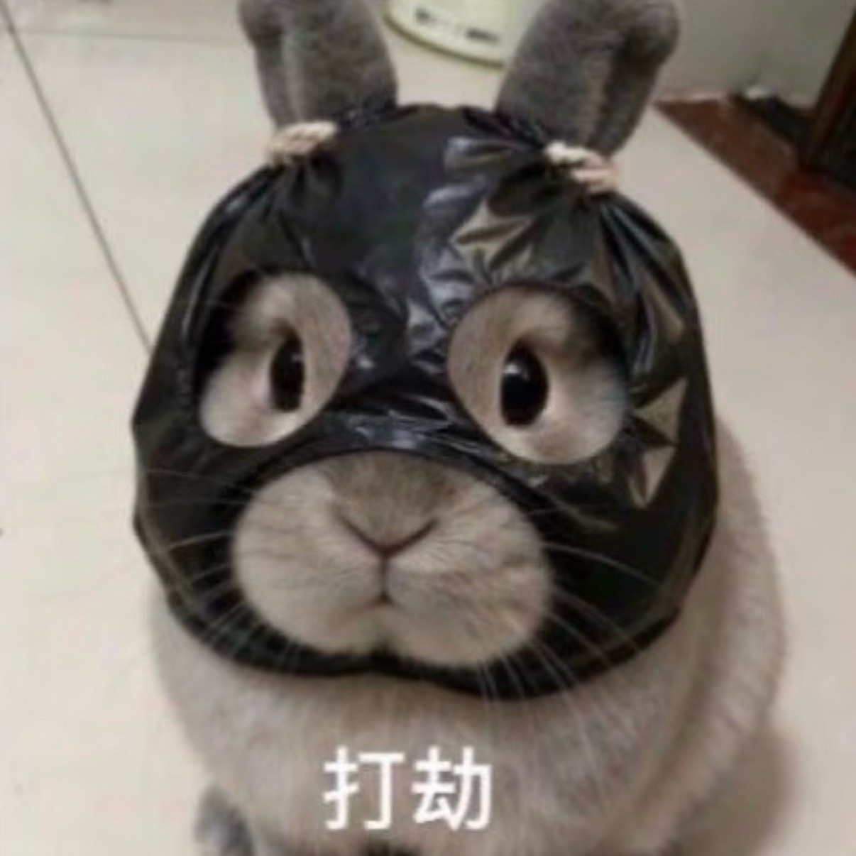大家不要去夜排和找🐮代排啊 夜排又不安全 万一晚上下雨了淋感冒了怎么办？🐮代