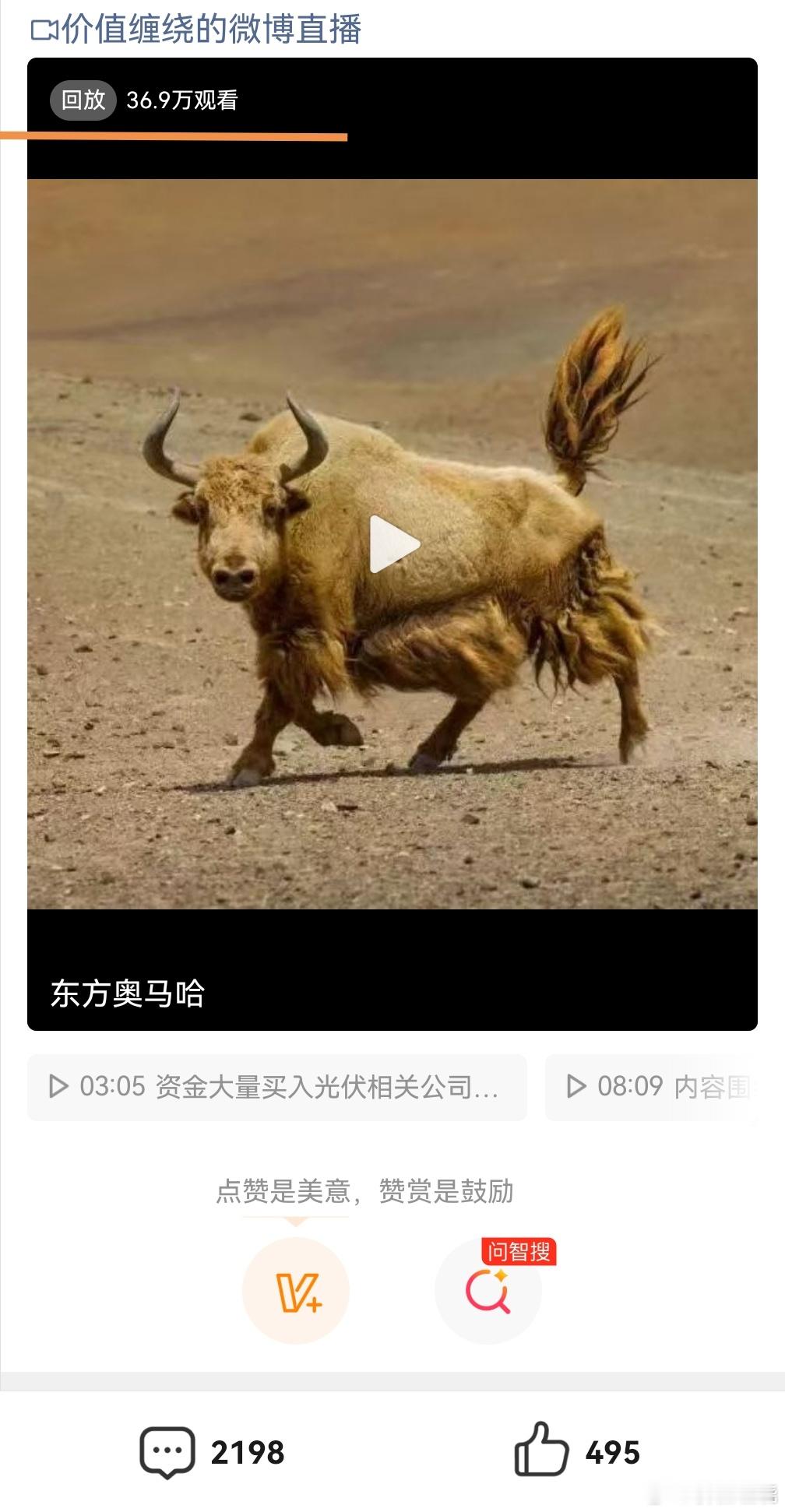 昨天直播36.9万人次观看 