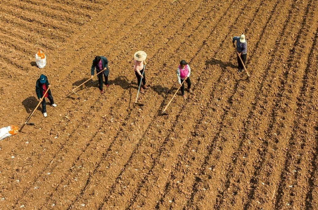生命是一场有季节的旅程，春耕夏耘，秋收冬藏。在适合播种的时节，用心培育爱与希望，