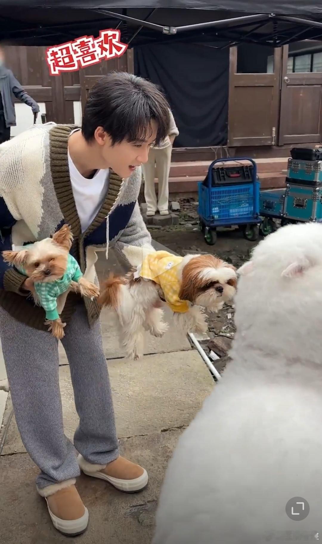 #檀健次和羊驼的vlog# 传下去[苦涩]檀多多老师拿小球和小呆讨好乐乐！！！啊