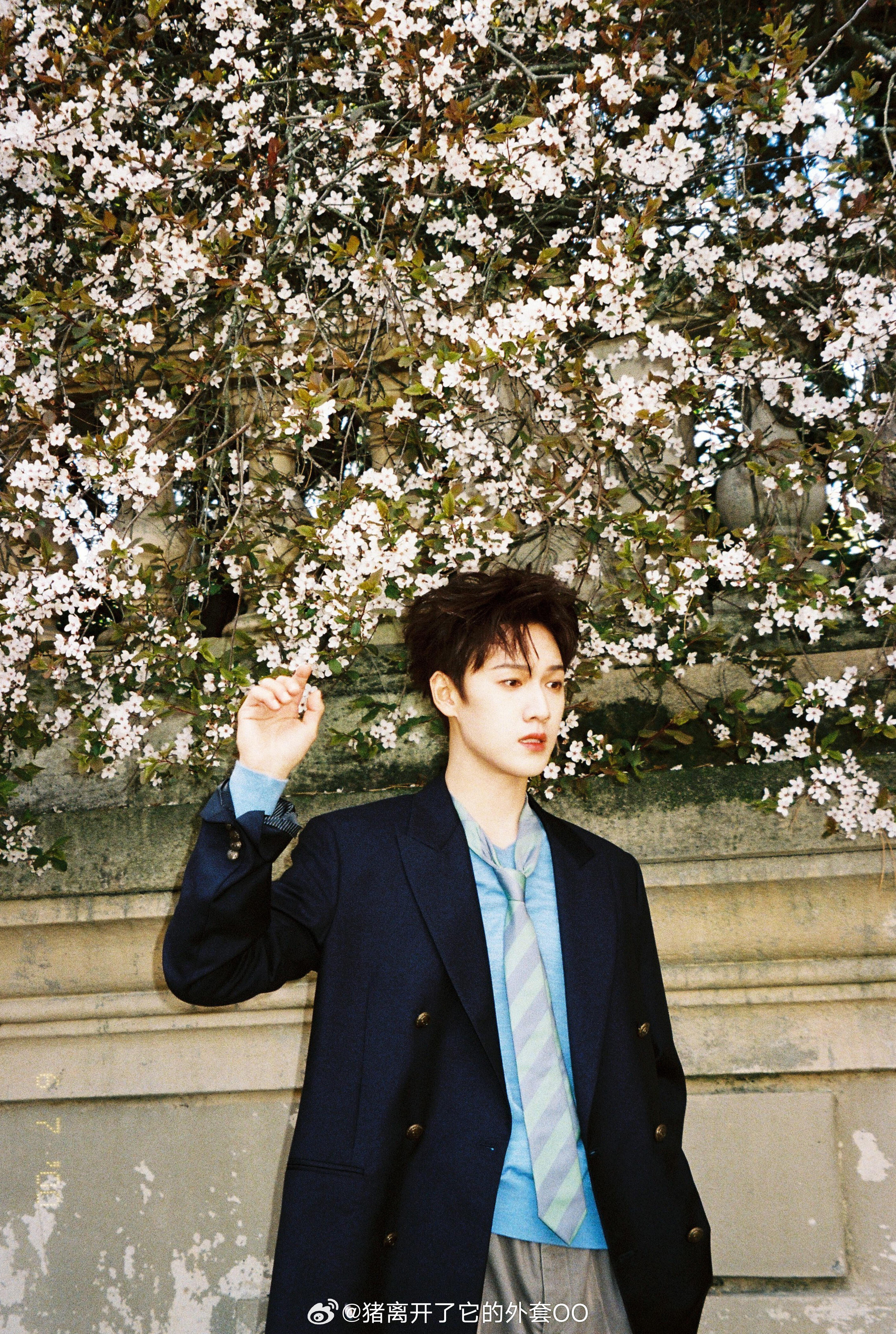 李昀锐最新营业大片，花树下的美少年！！🌸🌲 