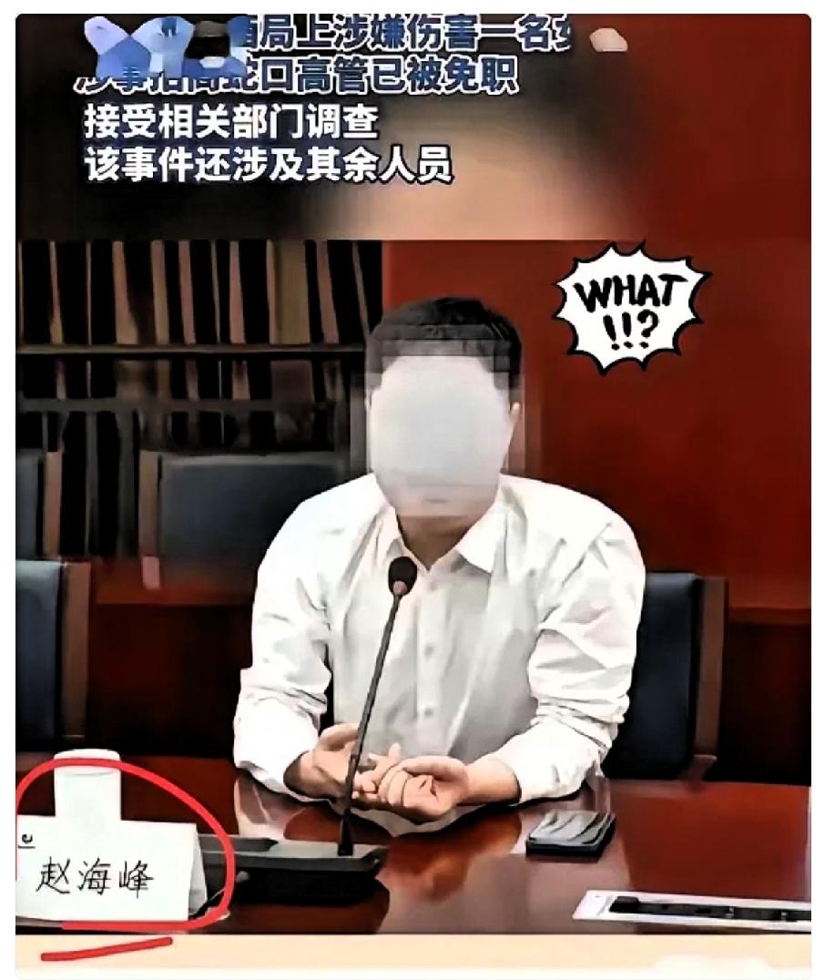 一百万买后悔药！
酒醒后的赵海峰，彻底慌了。
7月26号晚上，杭州来福士58楼的