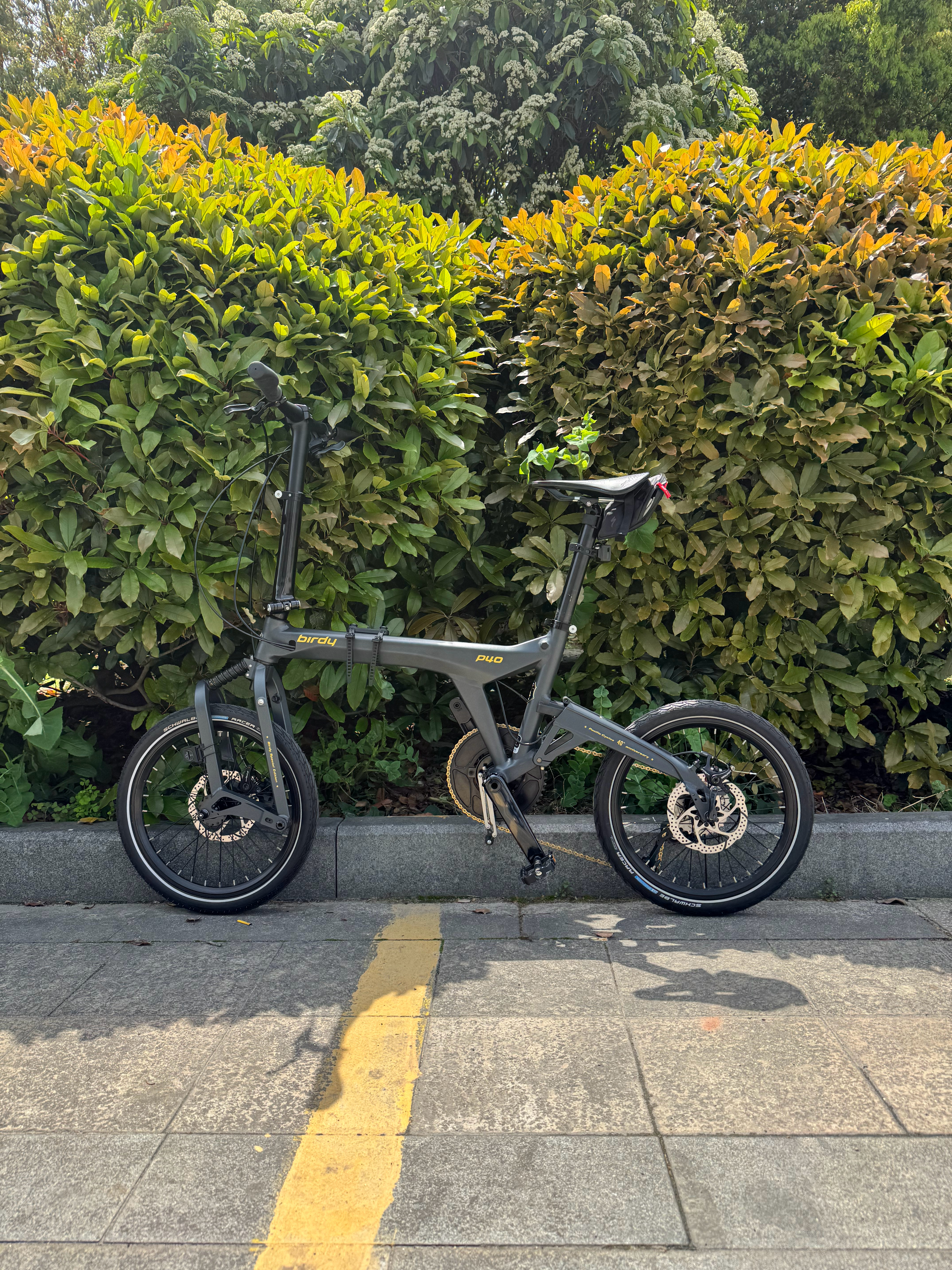 骑行季节来了 弄个鸟骑一骑 