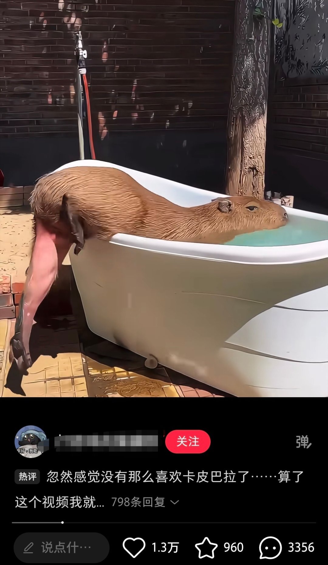 不是，这玩意腿这么长吗…… 