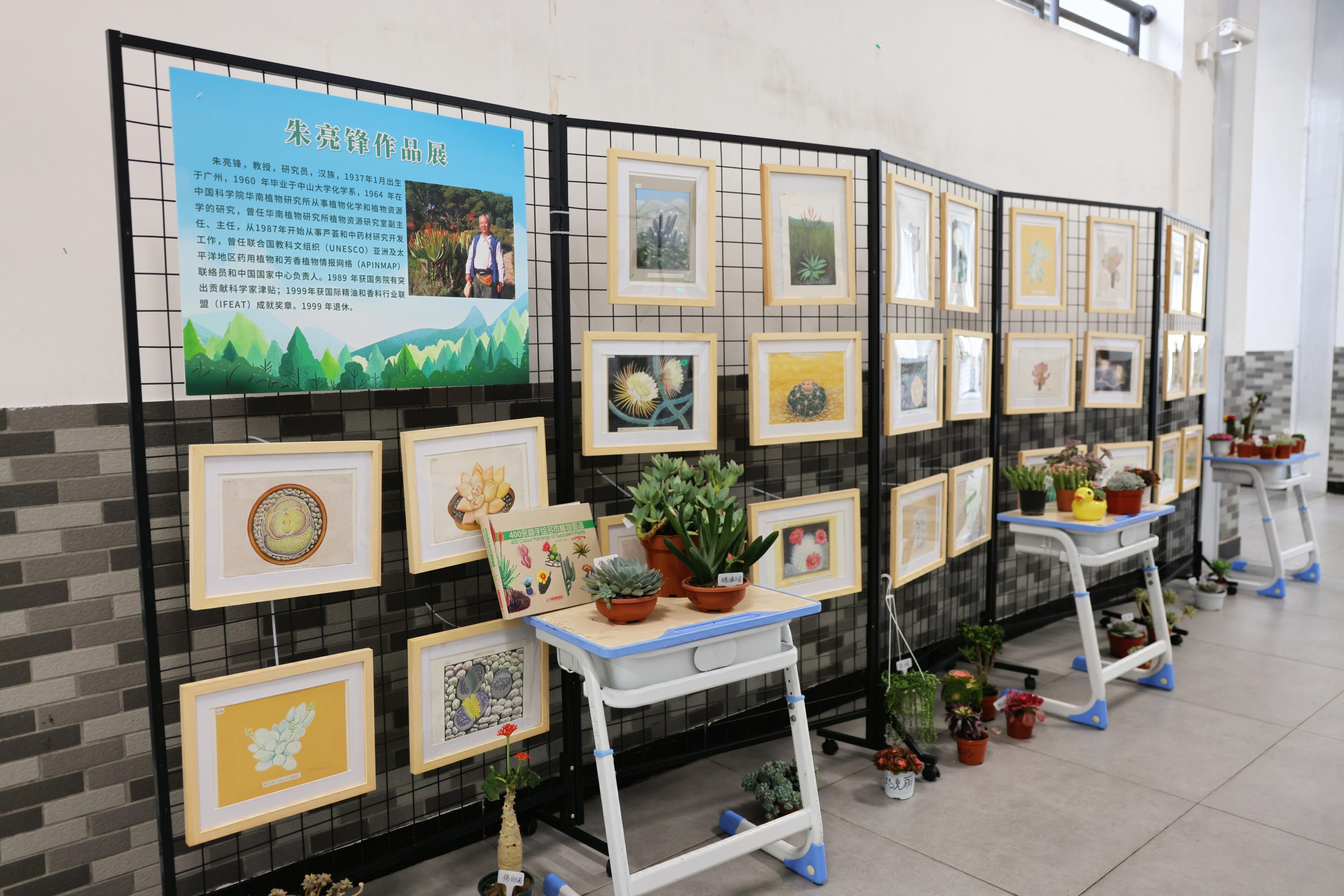 护鸟理念进校园，携手共建育新人！佛山市所校共建活动引导学子守护绿水青山