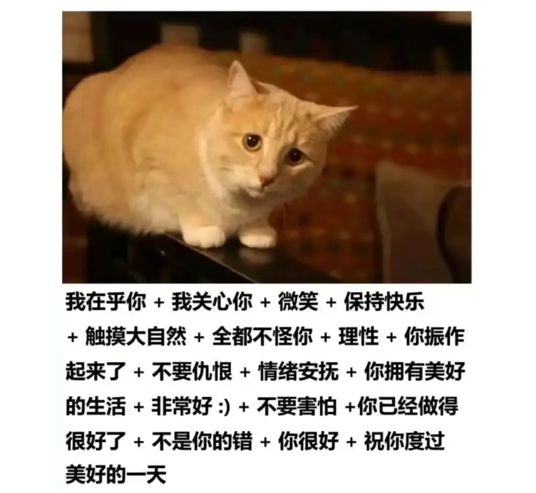 今天不是永远 