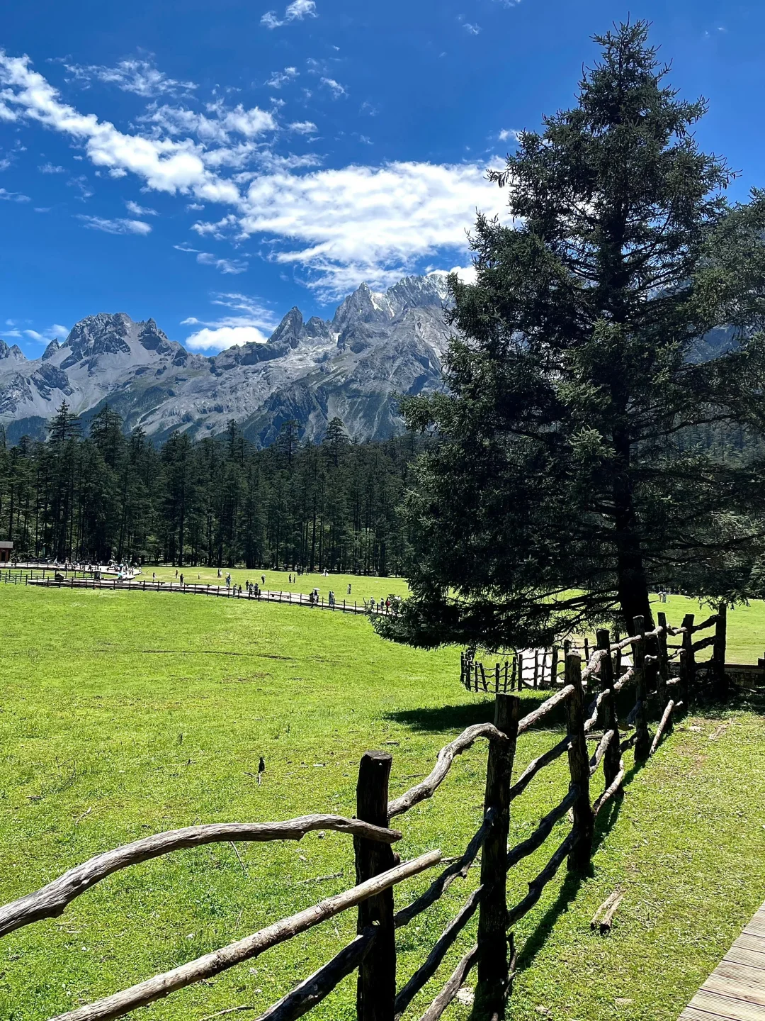 不爬雪山🏔️云杉坪+蓝月谷一日游（拼车）  一