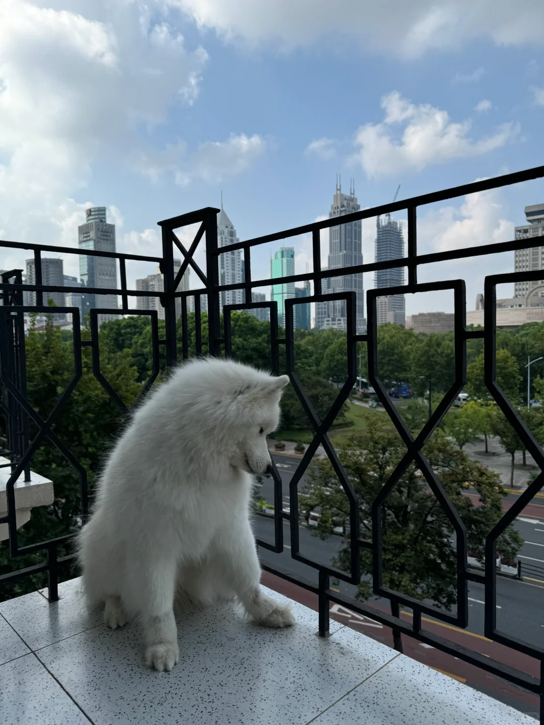 又去上海玩啦