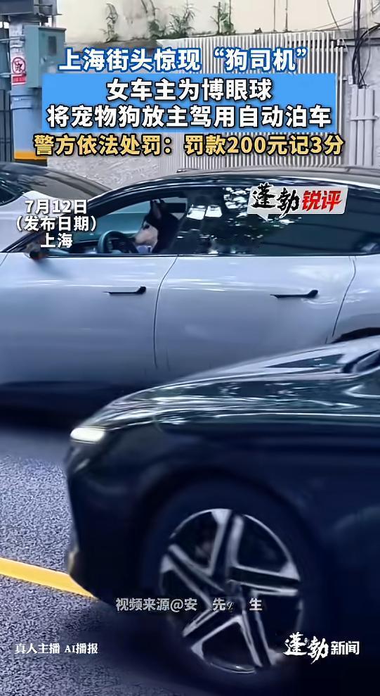 “哗众取宠！”7月12日报道，上海，一38岁女子为了博眼球，把车开到路边后就下了