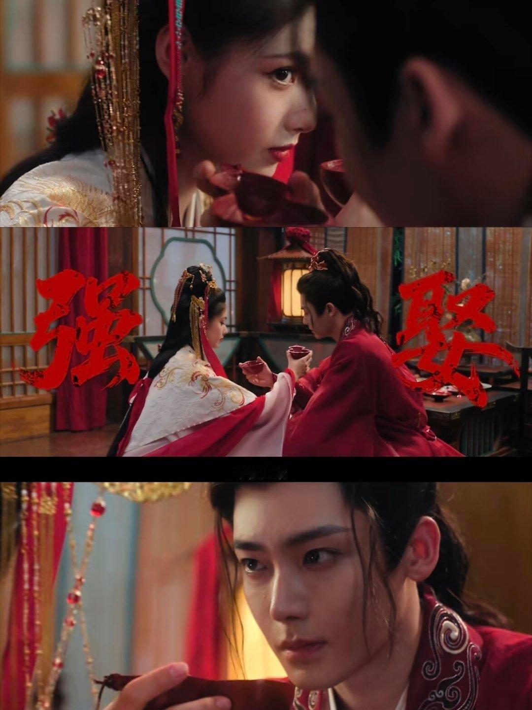 侯明昊艾米重新定义萌宠赛道萧无衣你这“强娶”也太假了吧？明明眼神里全是“我好怕你