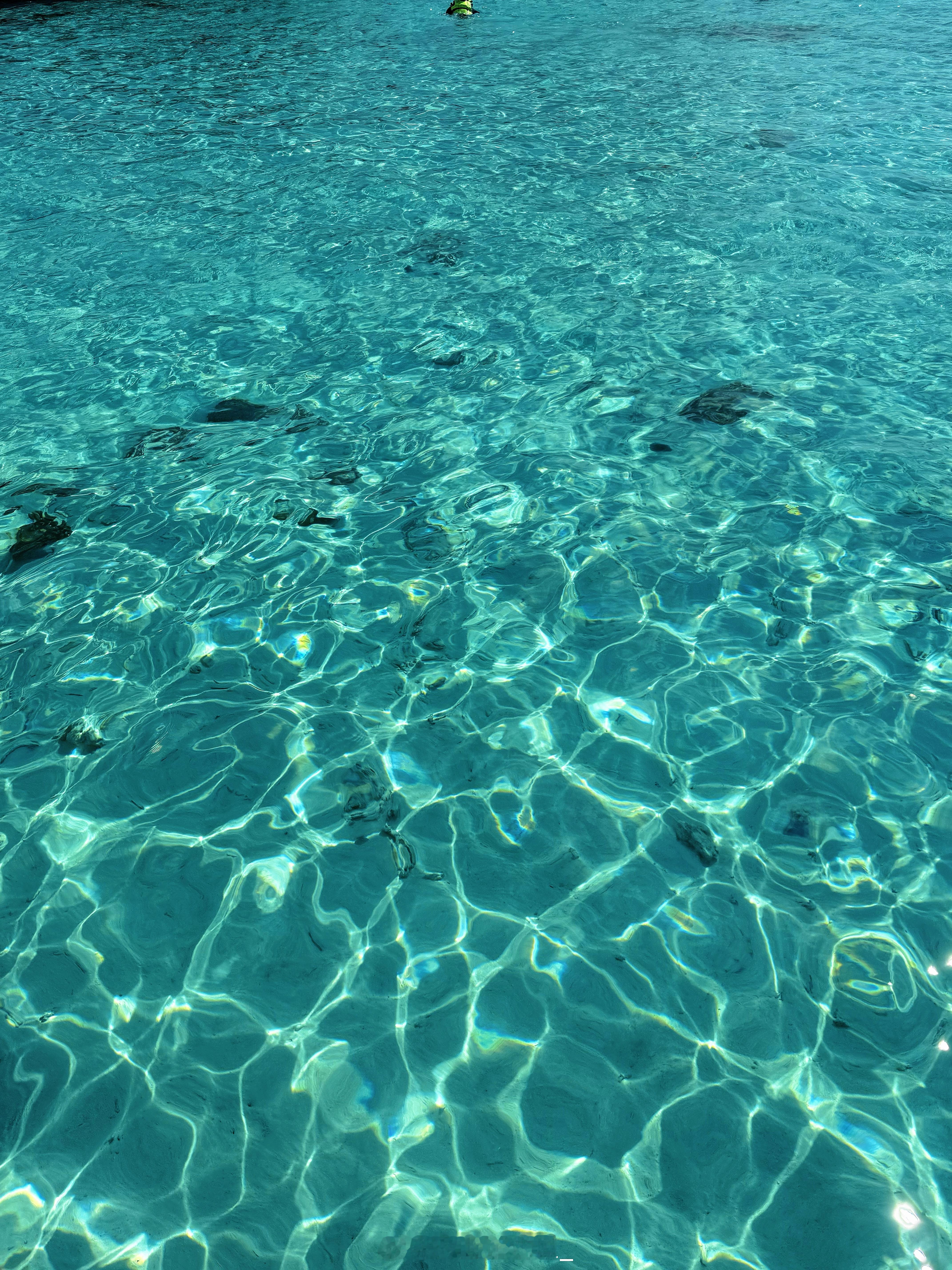 🐠 Jelly sea 印度尼西亚·Pulau Kelor Komodo