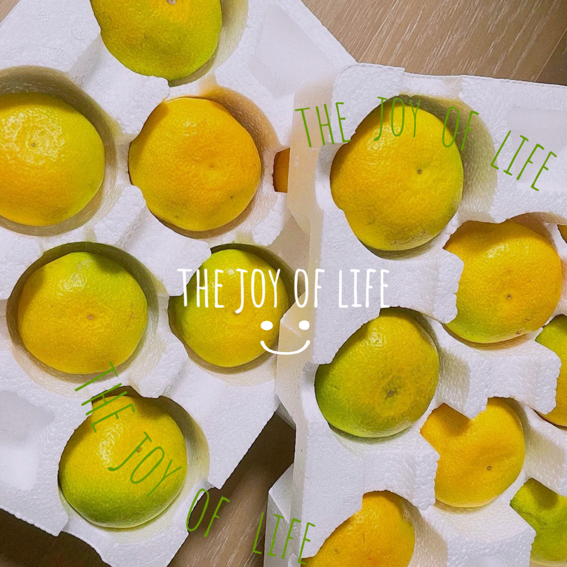 嘿嘿嘿又到了一年一度的吃青橘的日子✌🏻评论抽个铁粉宝吃橘子🍊[淡淡的] ​​