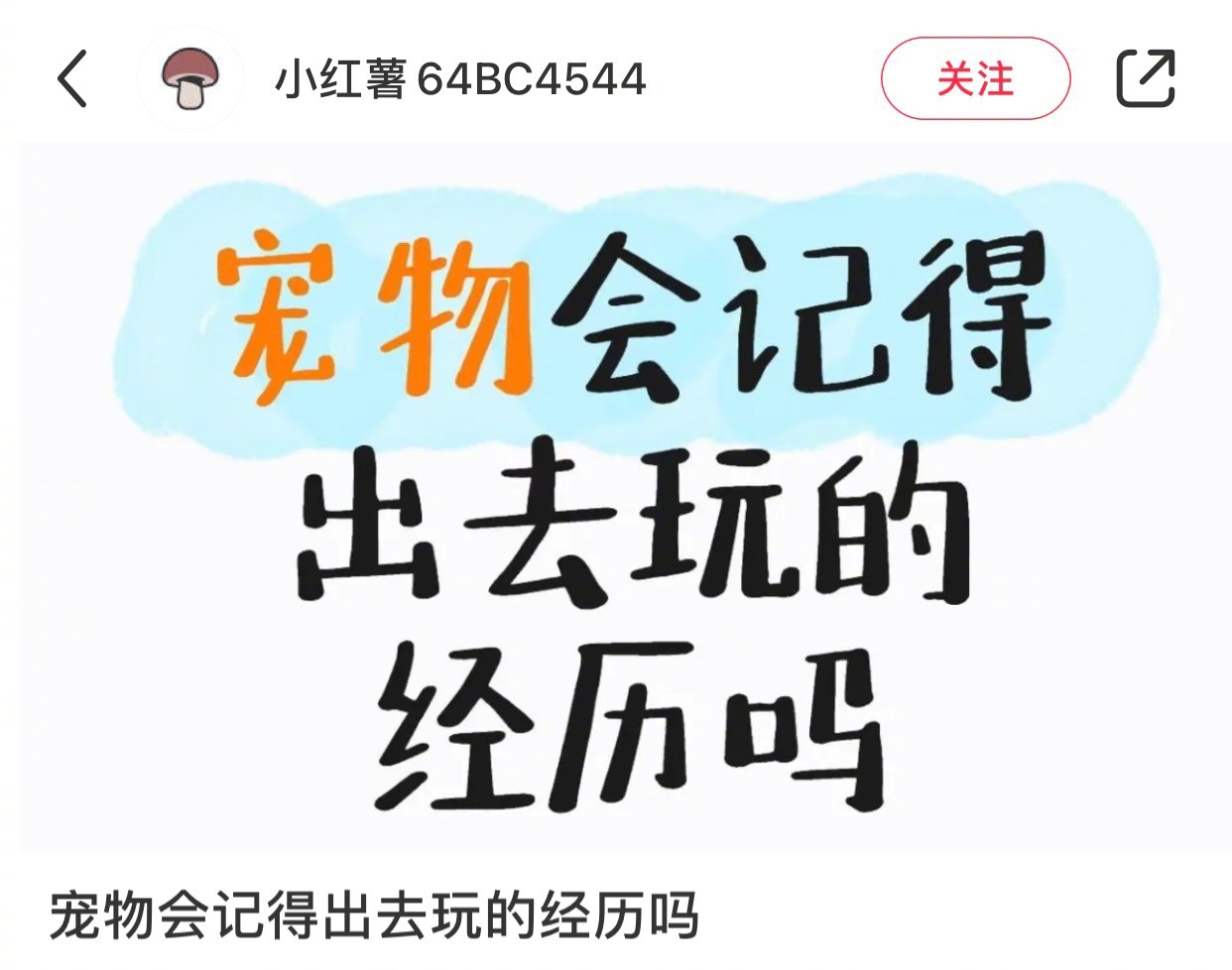 原来小狗小猫都记得你带它们出去玩[冲刺] ​​​