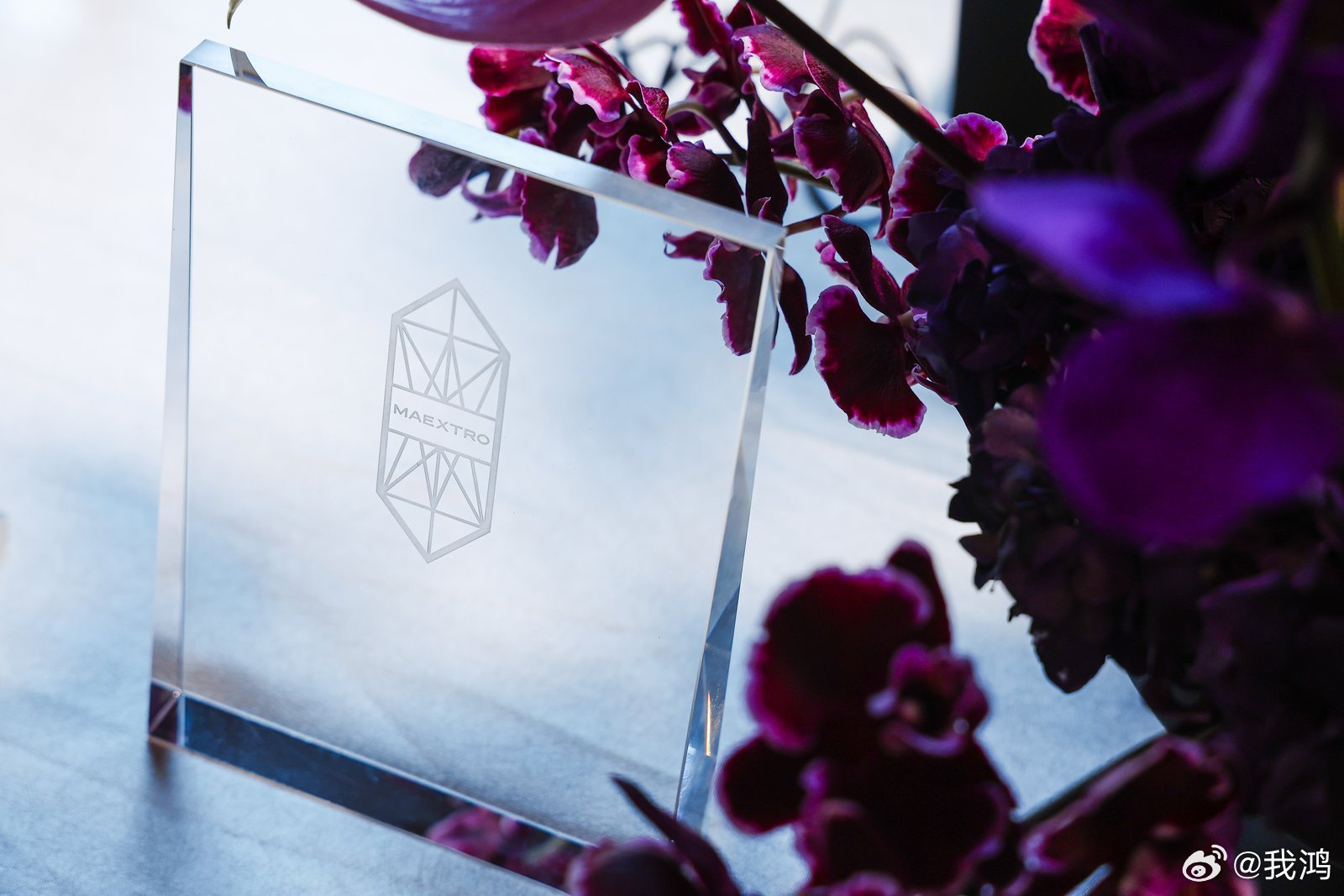 尊界大师赛，听起来就逼格满满吧。