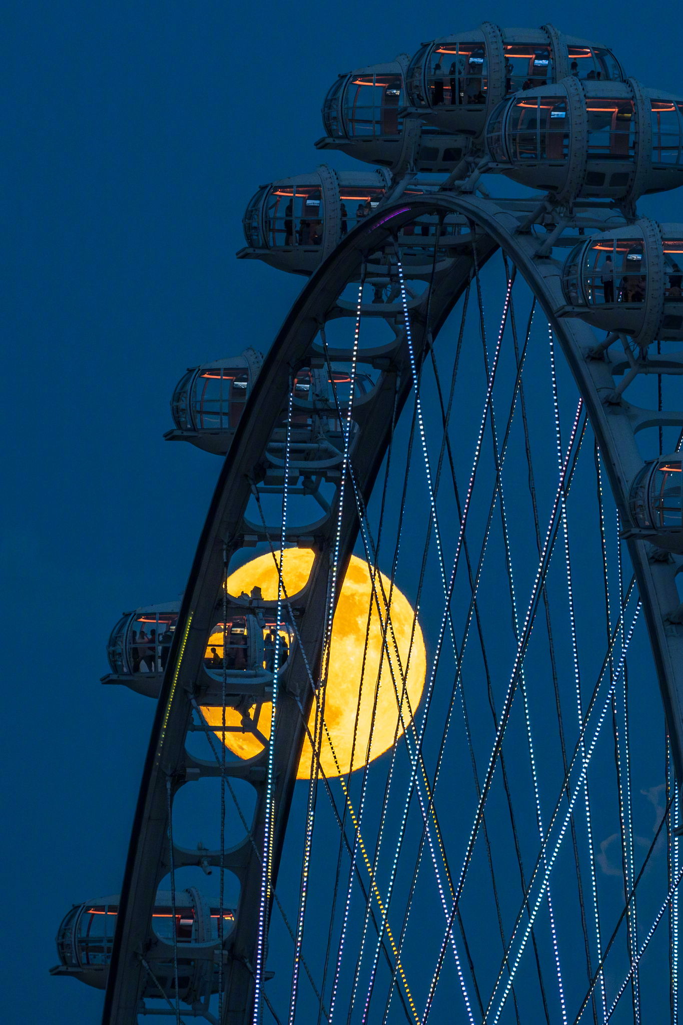 海上生明月 天涯共此时🌕 ​​​