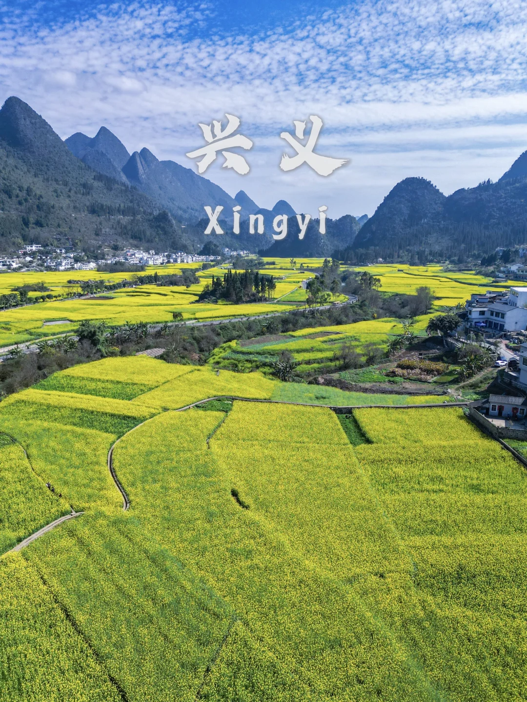 被《国家地理》认证最早的春天！油菜花美翻