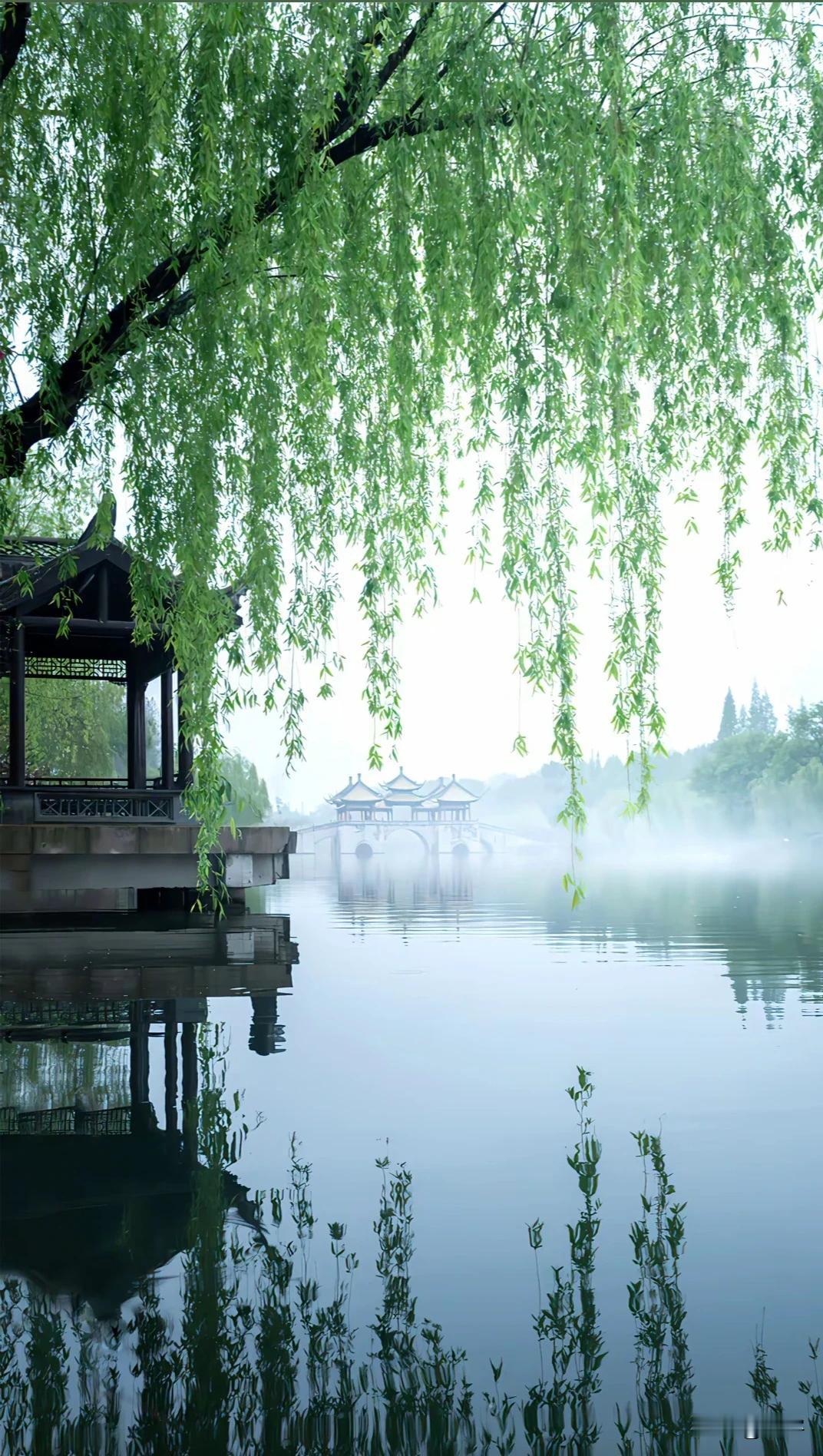 烟柳画桥，梦枕江南
 
在时光的长卷里，江南总是那幅最柔美的水墨。
 
晨雾似一