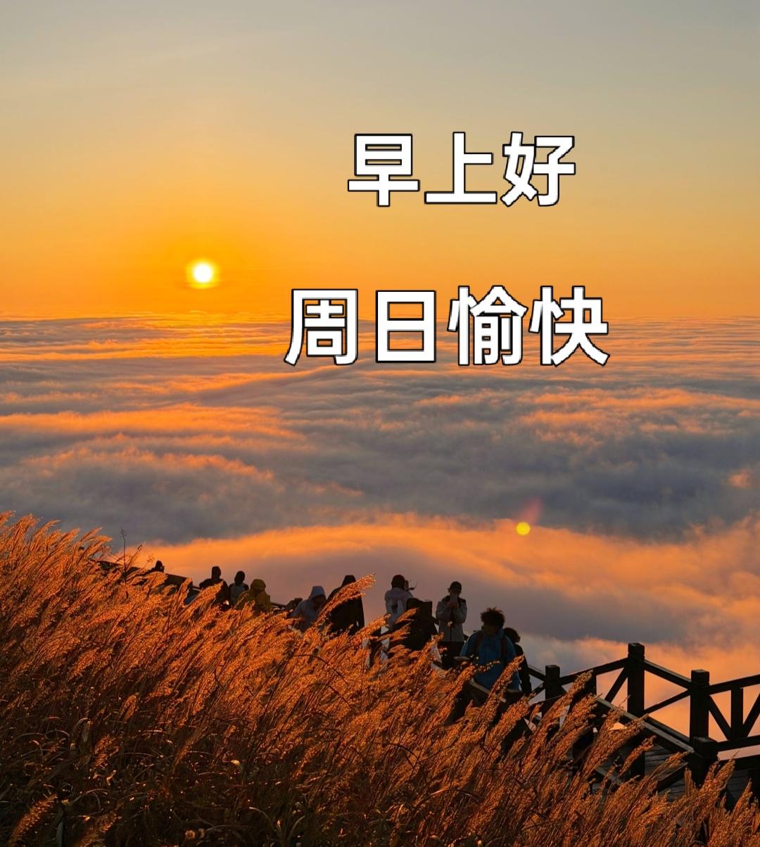 [玫瑰]早上好[玫瑰]
晨光漫过窗纱亮，
周日时光慢慢赏。
一句早安捎祝愿，
平