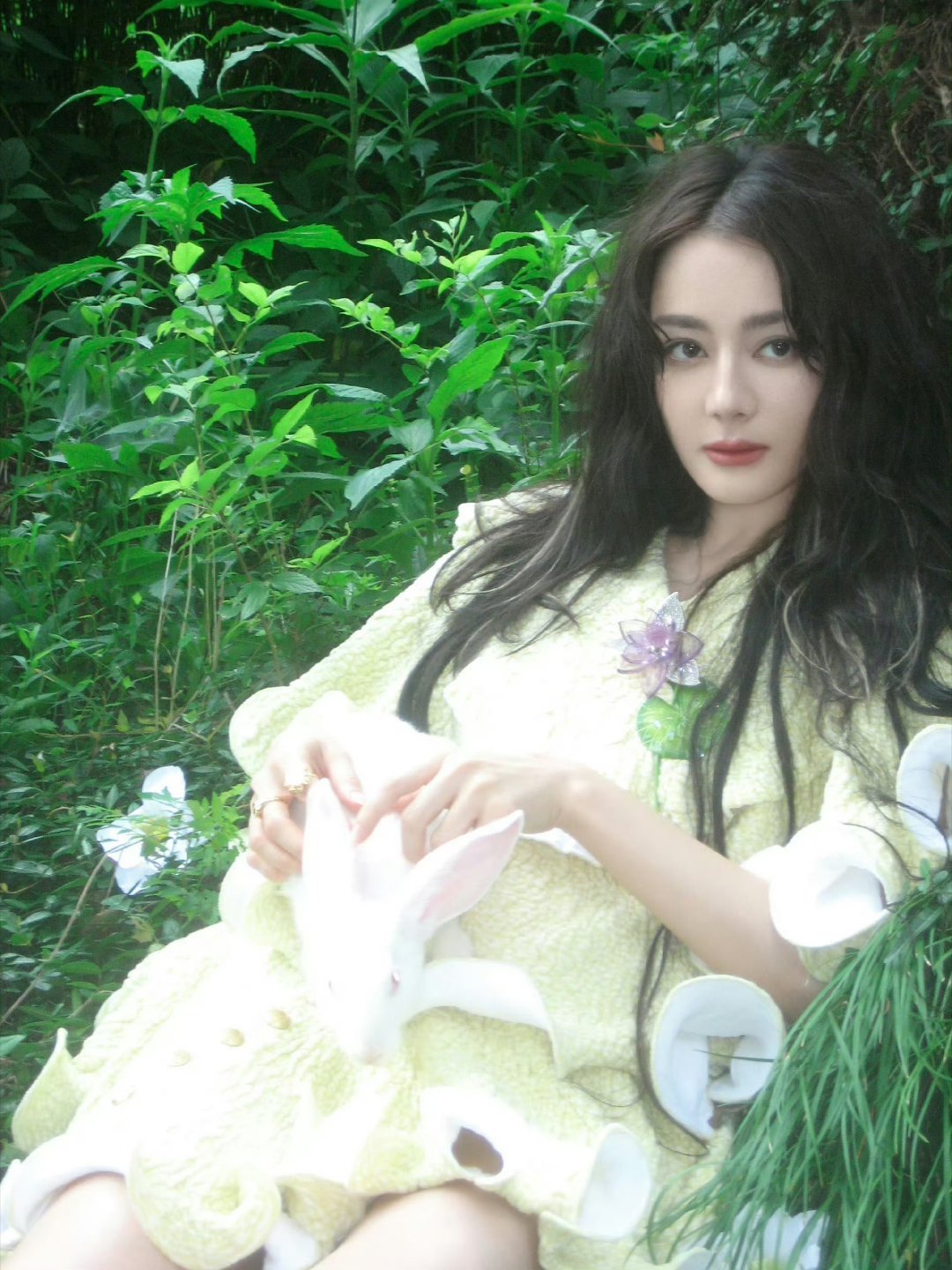 迪丽热巴此女美之