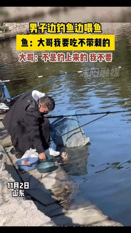 山东，一大哥正坐着钓鱼，水里突然冒出一条30斤重的大鱼，它不光不怕人，还径直游到