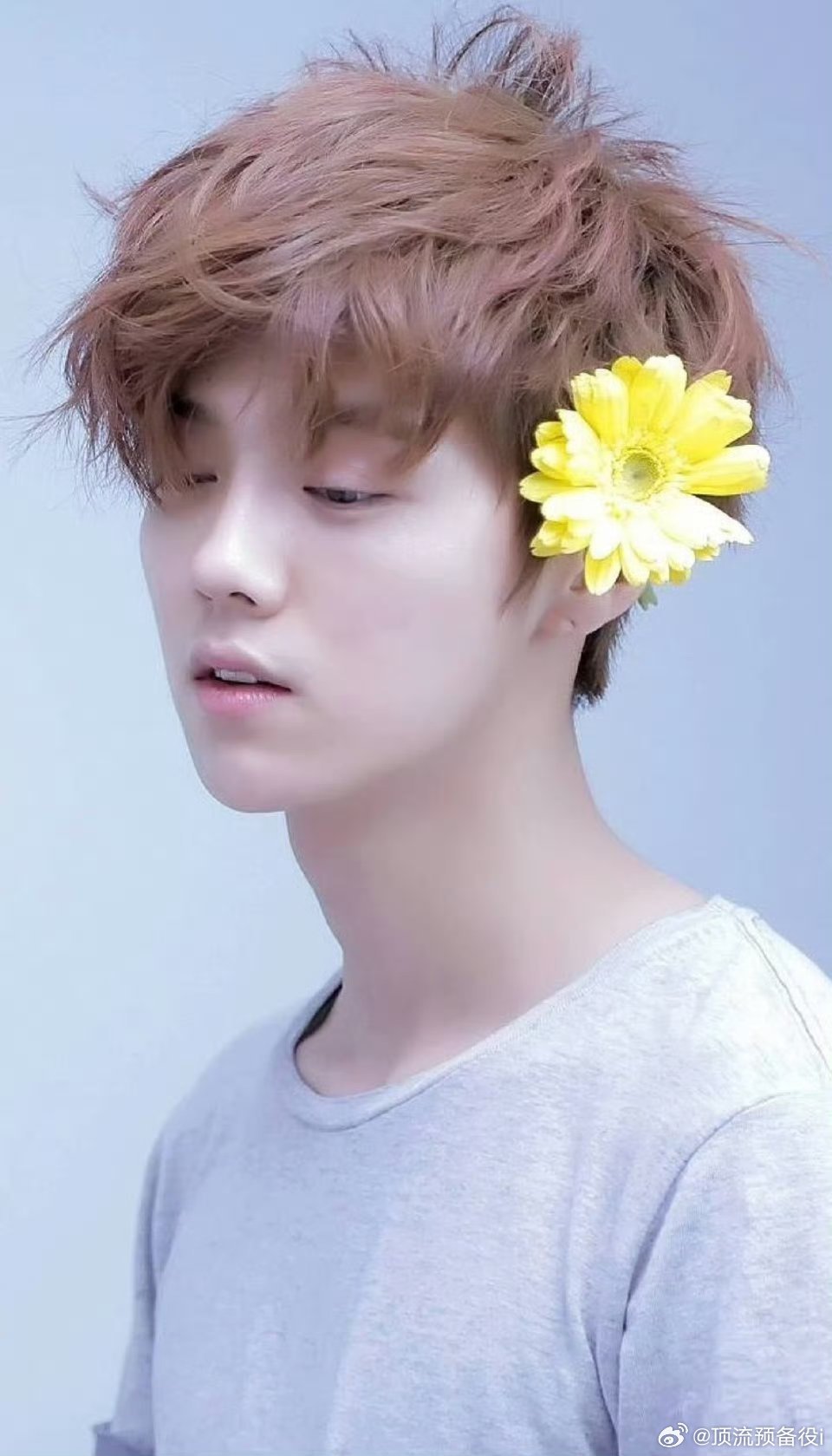 早起爱豆时期的鹿晗简直就是纯元白月光 现偶的神 