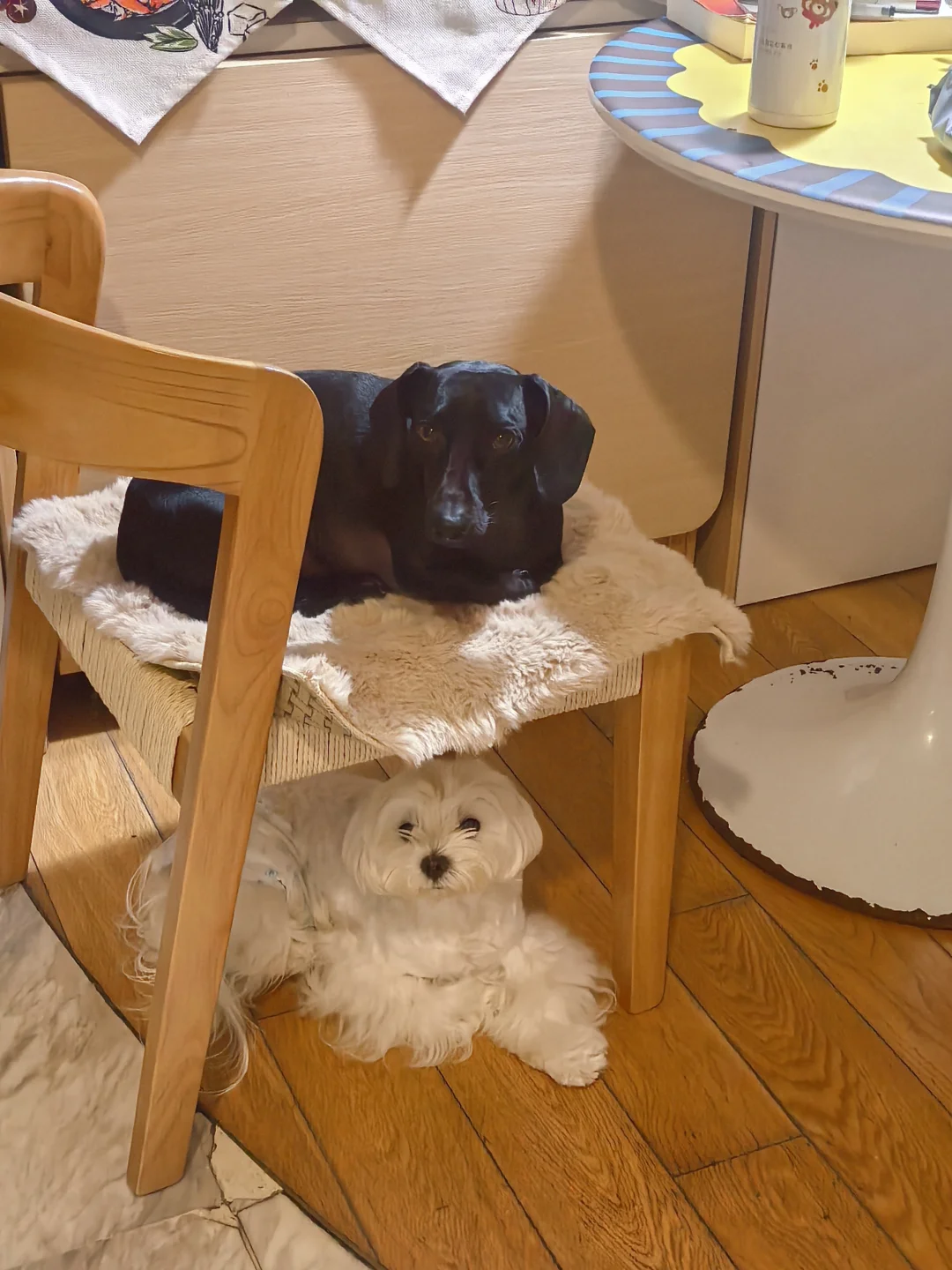 二胎家庭能否一碗水端平