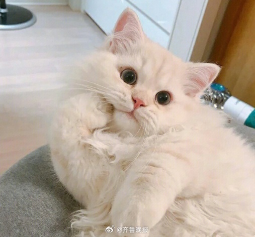 努力生活的人，即使身处灰暗，生活也会多彩。#晚安# ​​​