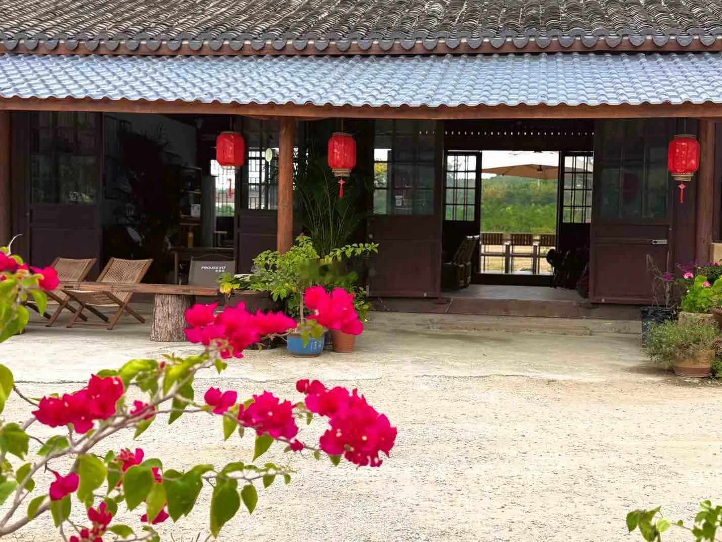 我们不说喝茶，我们说晚风漫过窗棂，说月色落满杯盏，说人间细碎的温柔。 ​​​
