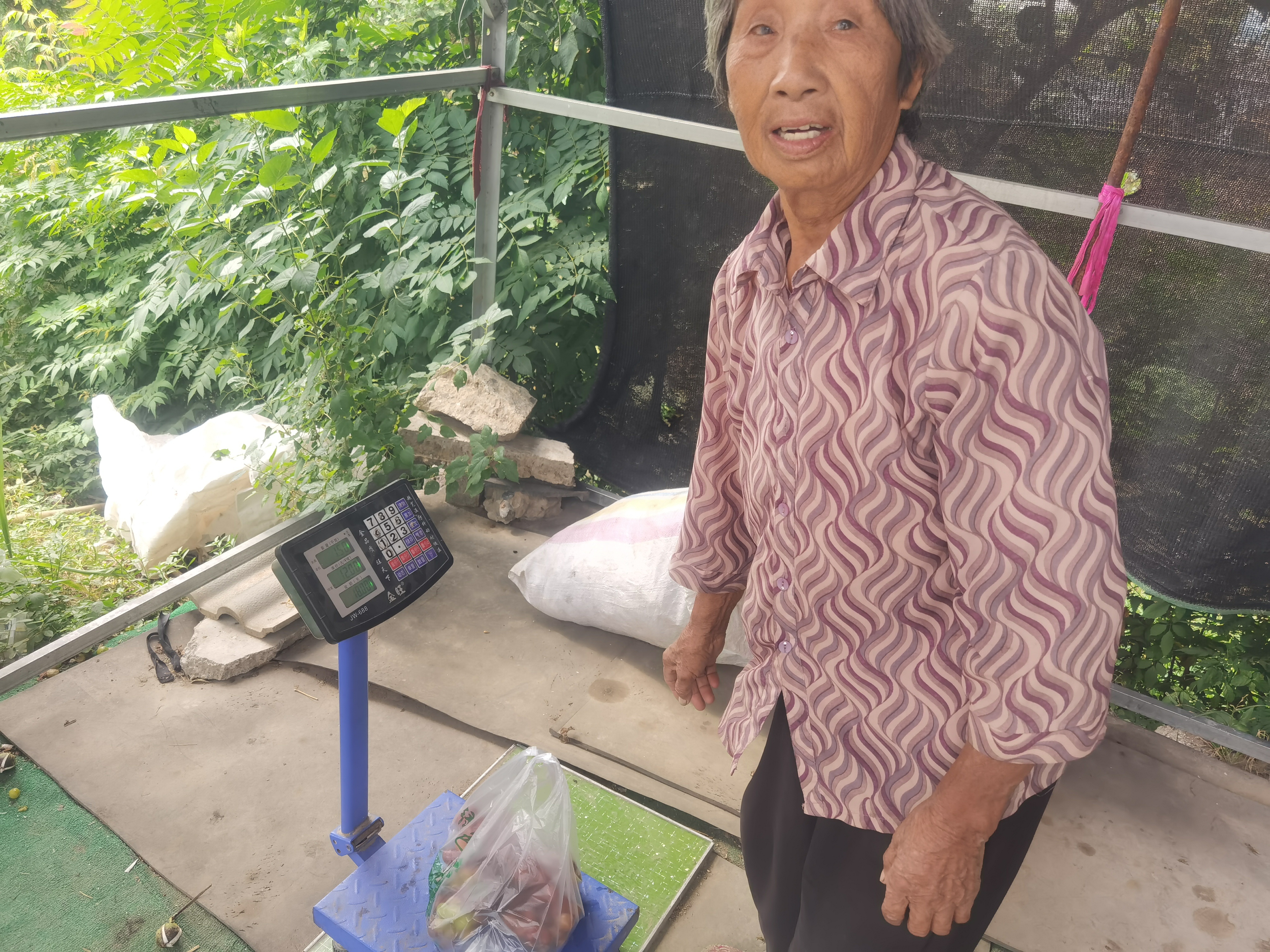 昨天在松滋，提子才4块一斤，阳光玫瑰只要2块一斤。连卖果的婆婆都叹气，今年水果行