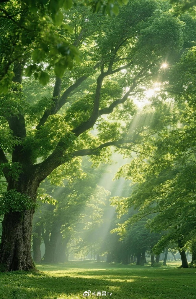 微博云祈福祈福2026华严宗祖庭西安华严寺 治愈迷茫最好的良药是充实自己，抚平心